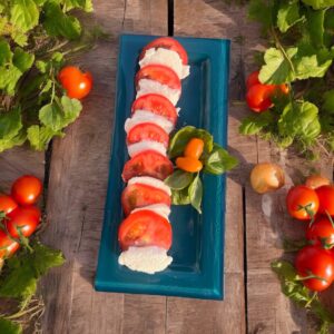 photo de plats de présentation de couleur